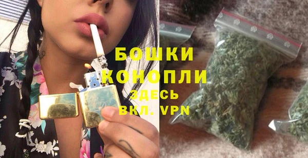 дмт Богородицк