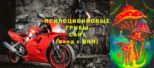 дмт Богородицк